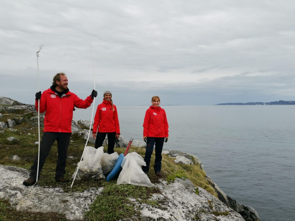 ryddeaksjon grønland
